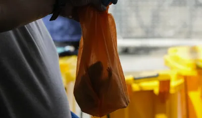 Potvrđen slučaj leptospiroze u Bijelom Polju