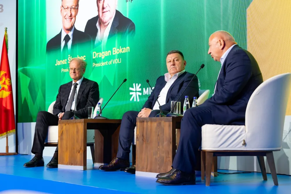 Dragan Bokan na MICEB konferenciji