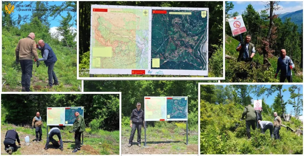 Postavljanje tabli u KOla&scaron;inu