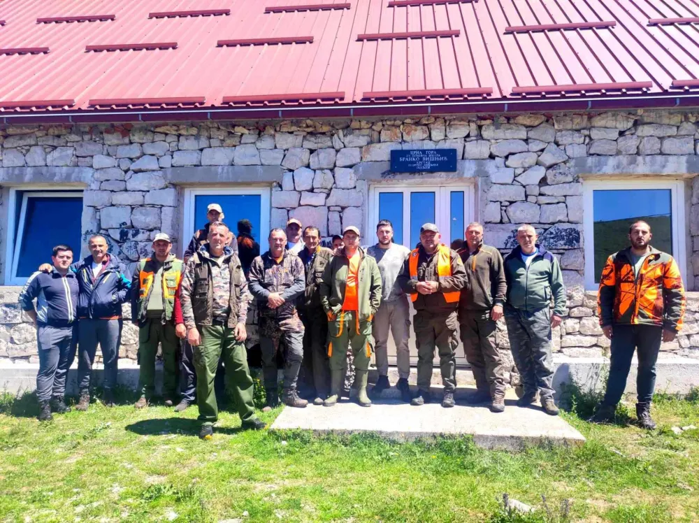 Akcija lovaca na području Golije: Hajka bez ispaljenog metka i ustreljenog vuka