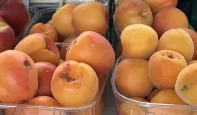 Kilogram kajsija sedam eura