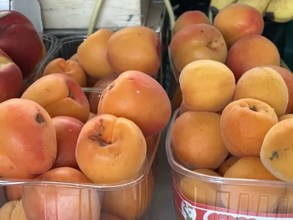 Kilogram kajsija sedam eura