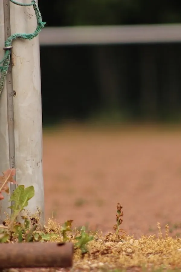 Tragedija u BiH: Preminuo dječak na kojeg je pao gol