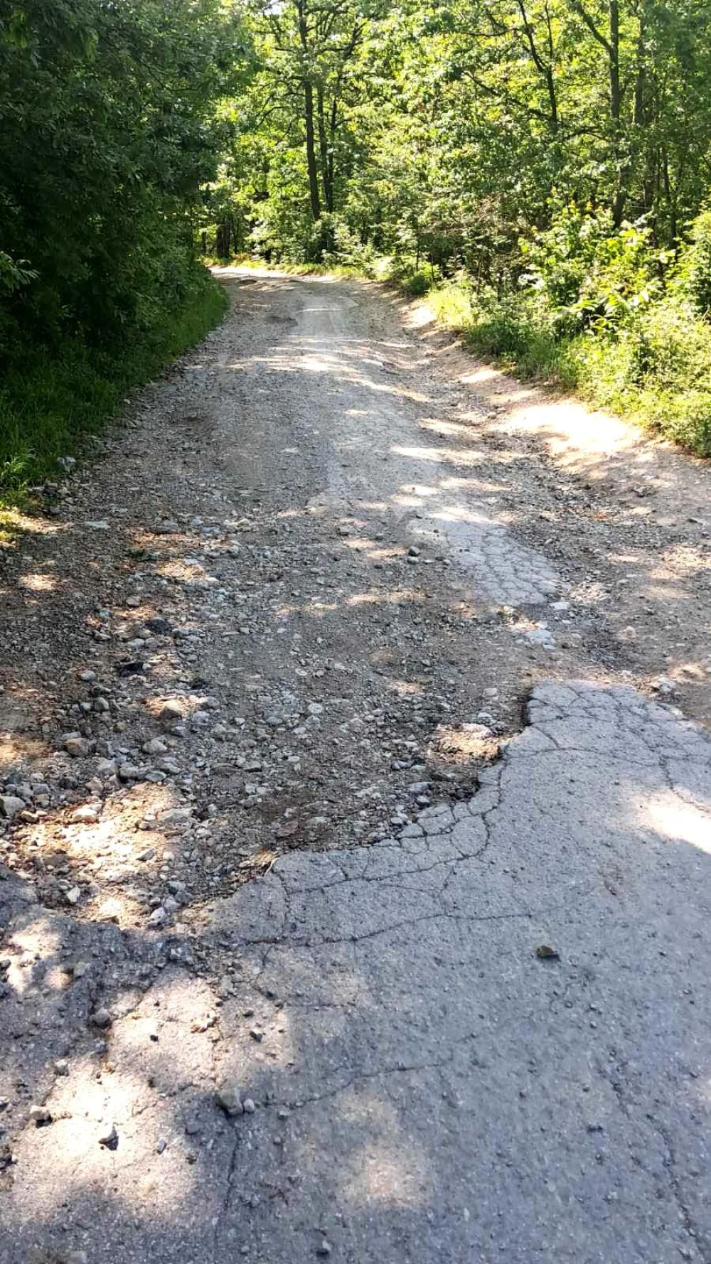 Put kroz MZ "Galica''