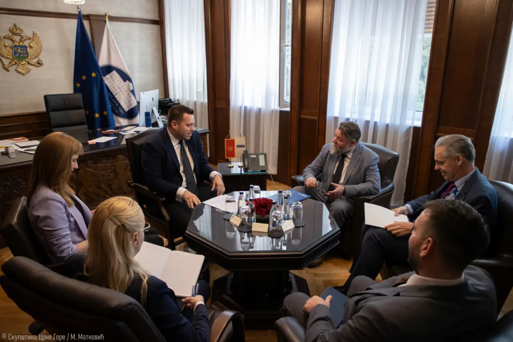 Stani&scaron;ić sa Haukasom: Spremni da zajedničkim radom osnažuju demokratske principe