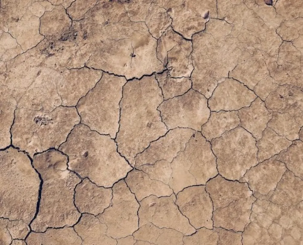 Su&scaron;a sredinom maja pogodila 53 odsto Evrope i Sredozemlja: Najvi&scaron;a stopa od početka posmatranja