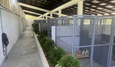 U novom azilu u Dobrinju smje&scaron;taj i briga za oko 200 pasa