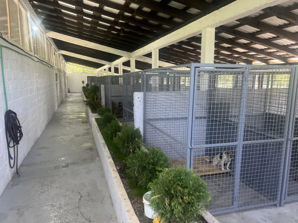 U novom azilu u Dobrinju smje&scaron;taj i briga za oko 200 pasa