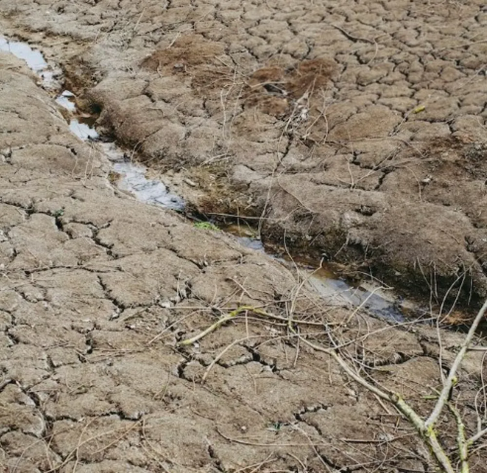 Djelovi Evrope se suočavaju sa su&scaron;om nakon rekordno toplog proljeća