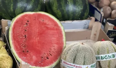 Kilogram lubenice 1,50 eura