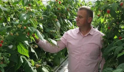 Država će pomoći malinare sa 300.000 eura