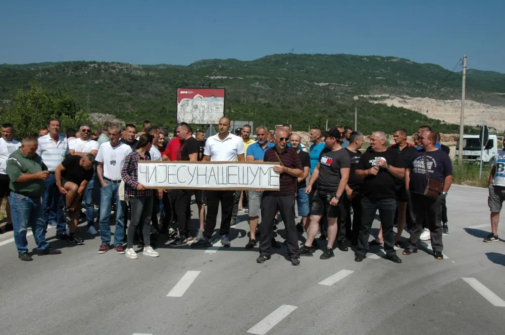 (FOTO) Protest zbog najave izmena Zakona o &scaron;umama: Čije su na&scaron;e &scaron;ume?