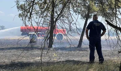 Požar na Ćemovskom polju