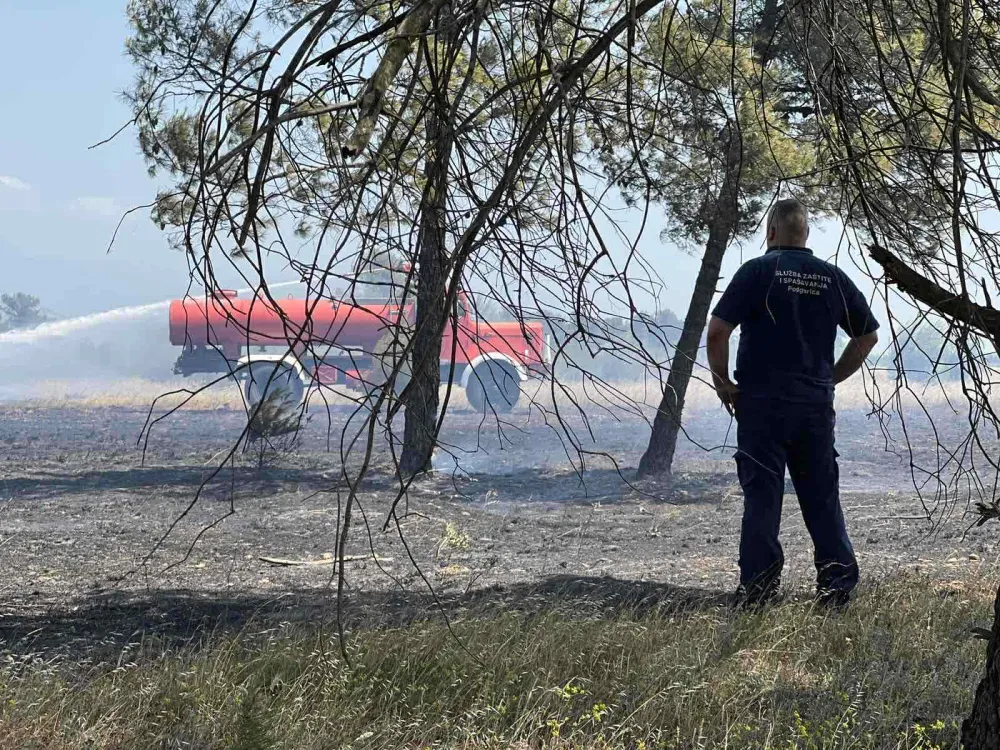 Požar na Ćemovskom polju
