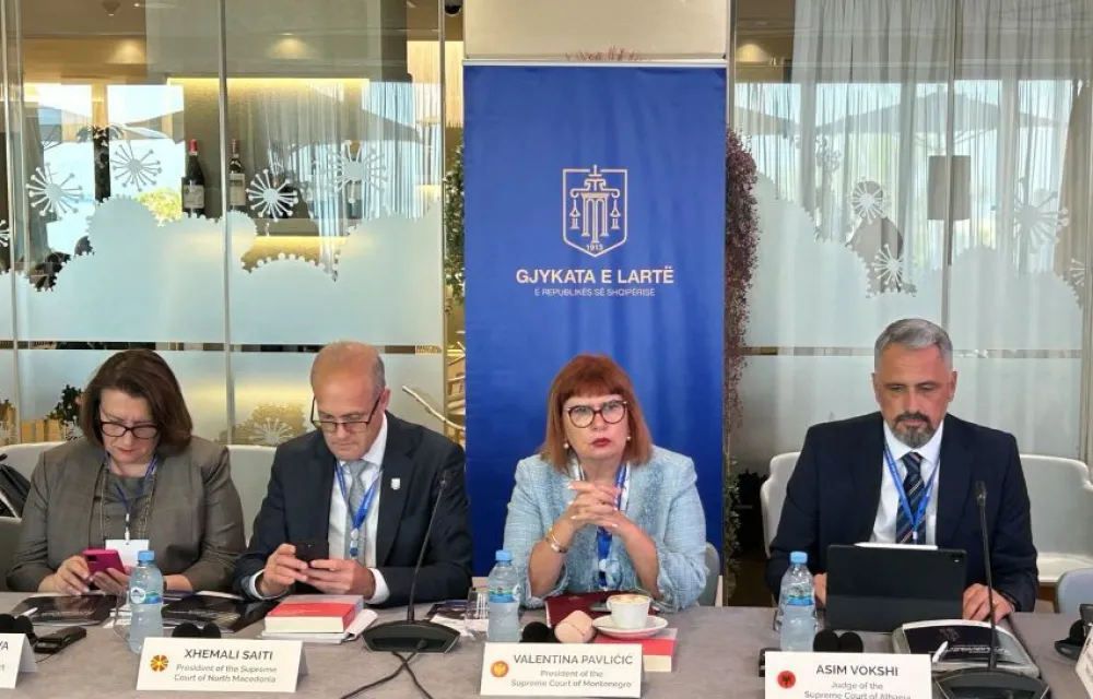 Pavličić na konferenciji &scaron;efova pravosuđa u Valoni