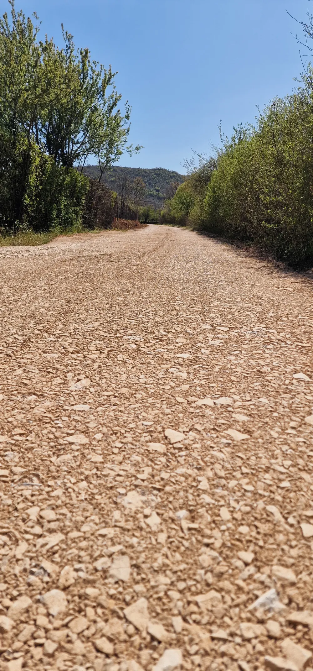 Bemaks radi ono &scaron;to Op&scaron;tina Danilovgrad neće
