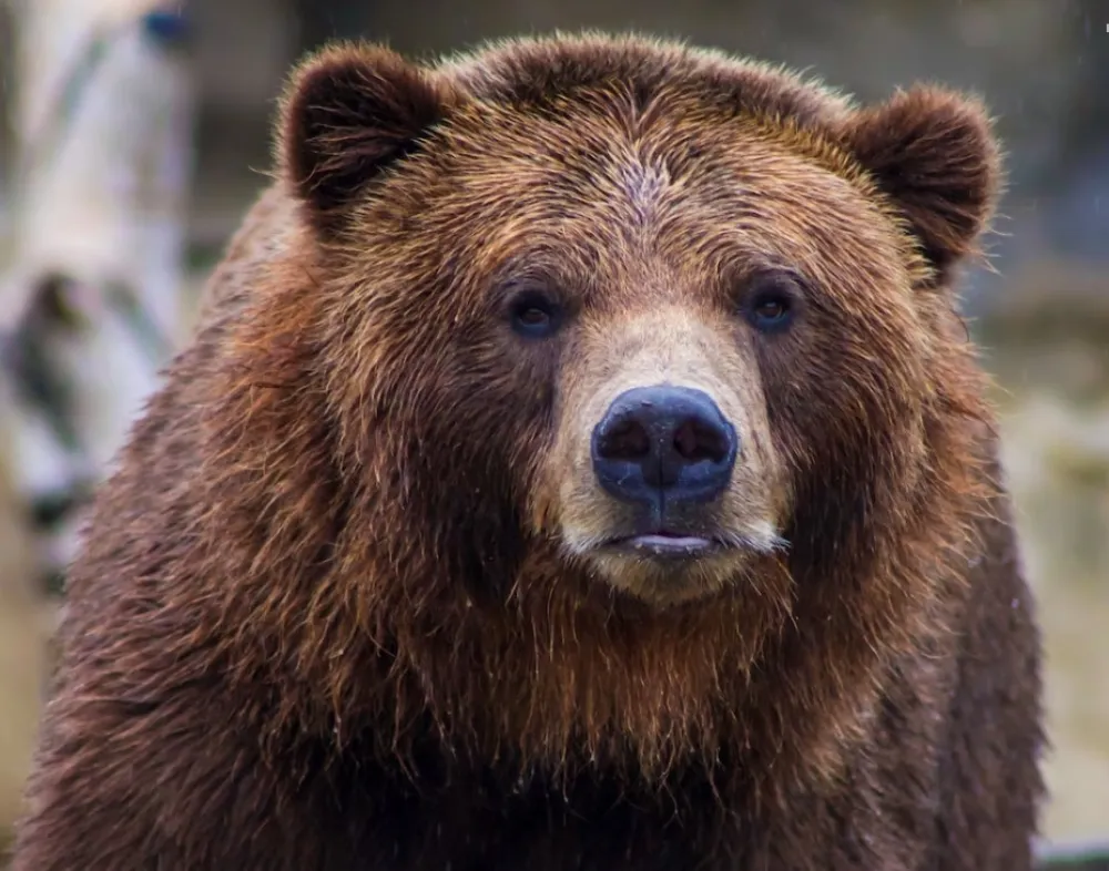 Zelenski: Moskva je izvor razaranja za sve u regionu