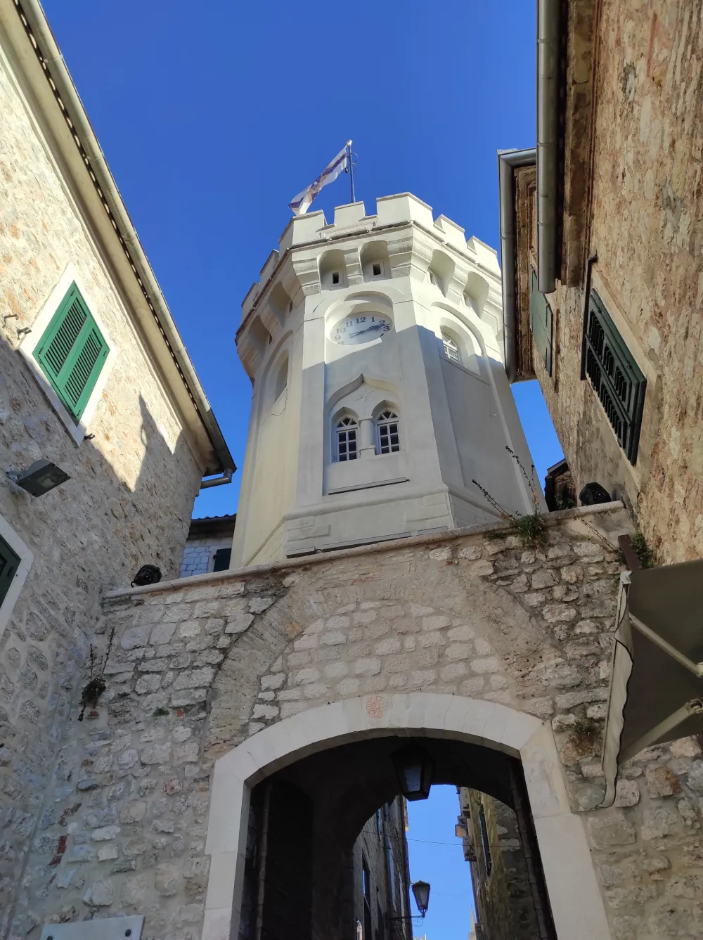 GO SNP raspustio Op&scaron;tinski odbor&nbsp;Herceg Novi i razrje&scaron;io Radisava Nikića