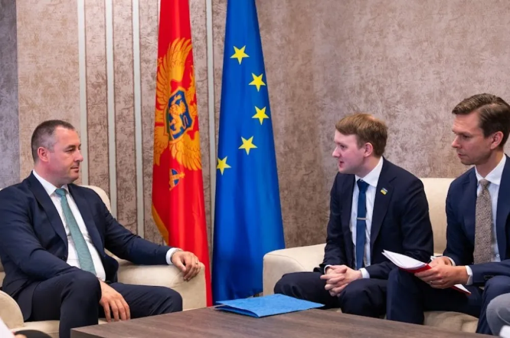 &Scaron;ćekić:&nbsp;Položaj mladih u Crnoj Gori&nbsp;nije na nivou kojem težimo