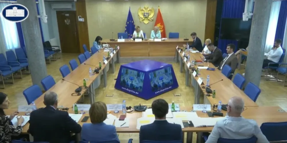 40. sjednici Administrativnog odbora Skup&scaron;tine Crne Gore (Foto: Screenshot Youtube)