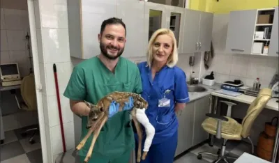 Nesvakida&scaron;nja intervencija u pljevljskoj bolnici: Ortoped sanirao polomljenu nogu lanetu