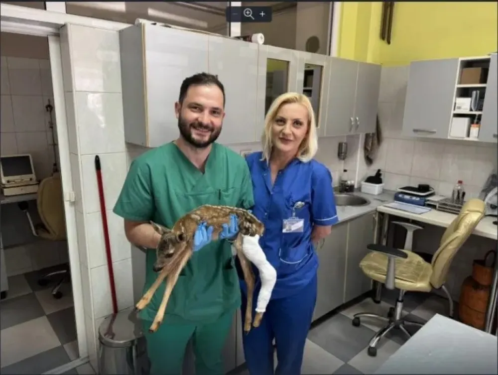 Nesvakida&scaron;nja intervencija u pljevljskoj bolnici: Ortoped sanirao polomljenu nogu lanetu