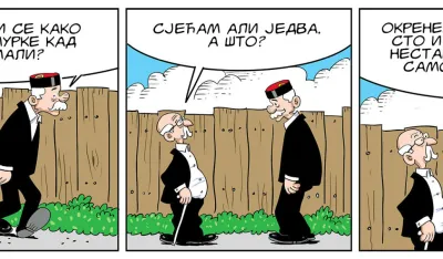 Mirko Zulić strip Dana