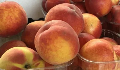 Breskve prodaju za sedam eura