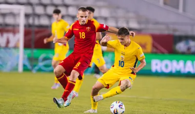 Optimista: Lazar Savović