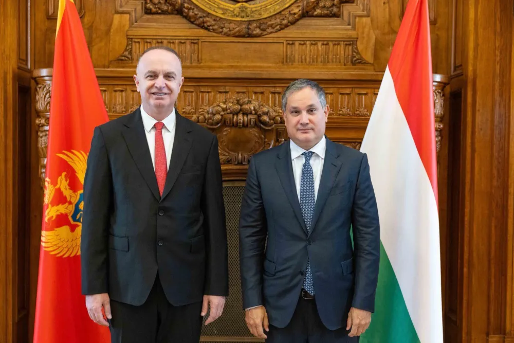 Đeljo&scaron;aj sa nađem