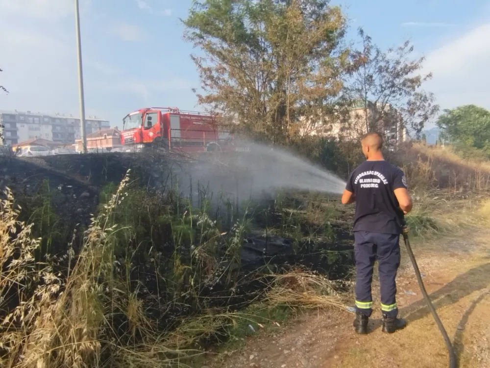 Požar kod Krivog mosta