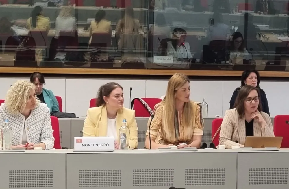 Crna Gora ostvarila značajan napredak u oblasti inovacija, ljudskih resursa, informatičkog dru&scaron;tva i socijalne politike