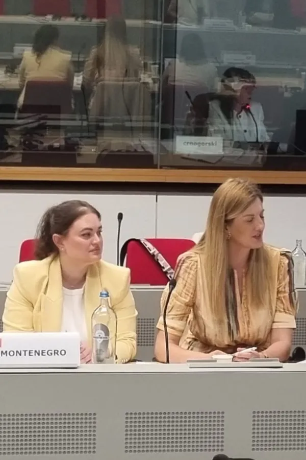 Crna Gora ostvarila značajan napredak u oblasti inovacija, ljudskih resursa, informatičkog dru&scaron;tva i socijalne politike