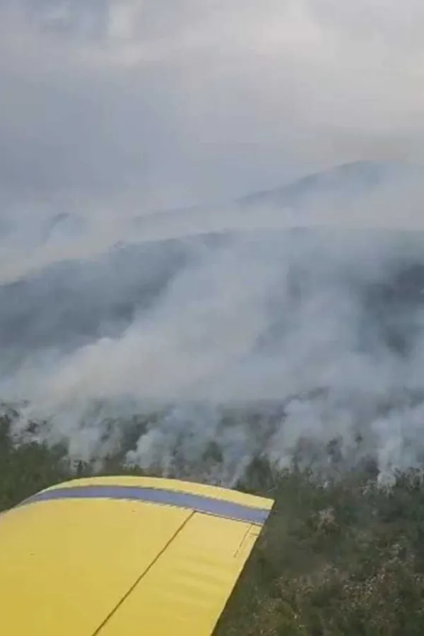 Veliki &scaron;umski požar zahvatio selo Pi&scaron;teta