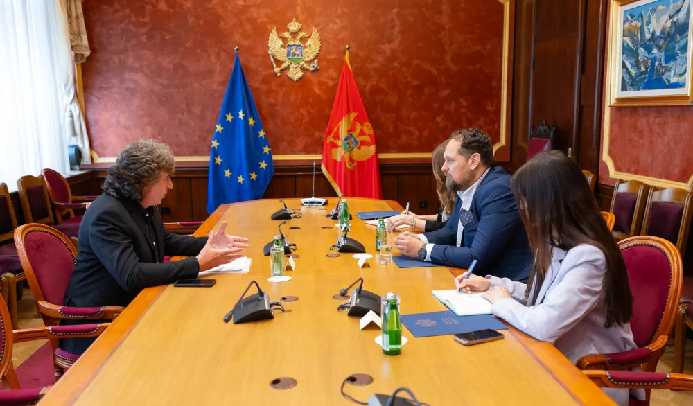 Stojović sa predstavnikom iseljenika Argentine: Potrebno jačanje institucionalnih veza sa matičnom državom