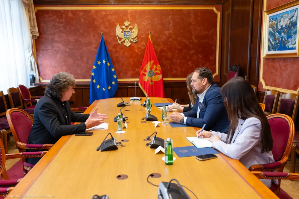 Stojović sa predstavnikom iseljenika Argentine: Potrebno jačanje institucionalnih veza sa matičnom državom