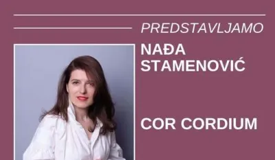 Napetost između forme i sadržaja