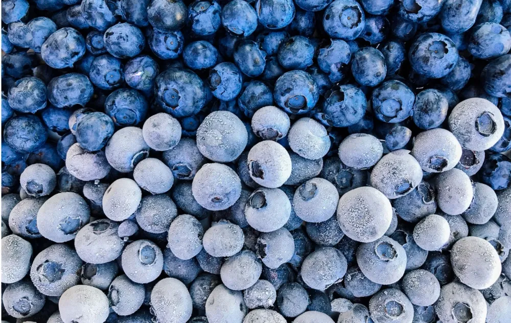 Svježe ili smrznute: Koji je najbolji način da jedete borovnice?