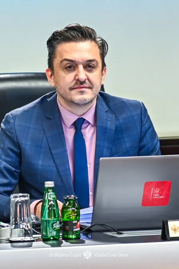 Na odboru za ekonomiju saslu&scaron;aće Đeljo&scaron;aja i Vukovića