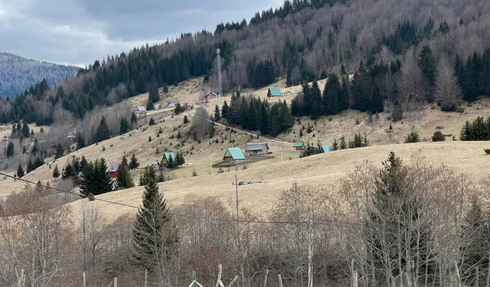 Jelovica mamac za domaće i inostrane goste