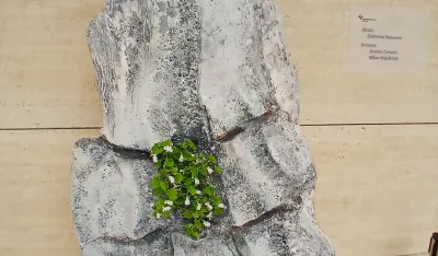 U crnogorskom kr&scaron;u otkrivena vjekovima čuvana tajna