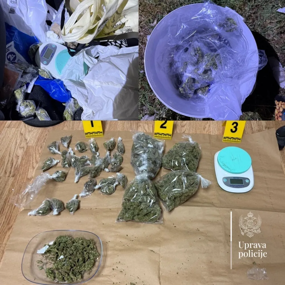 Bar: Interventna jedinica kod dvije osobe prona&scaron;la skoro 600 grama marihuane, osumnjičeni uhap&scaron;eni