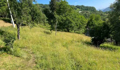 Bala sijena od 18 kila ko&scaron;ta samo jedan euro