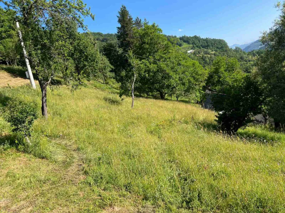 Bala sijena od 18 kila ko&scaron;ta samo jedan euro