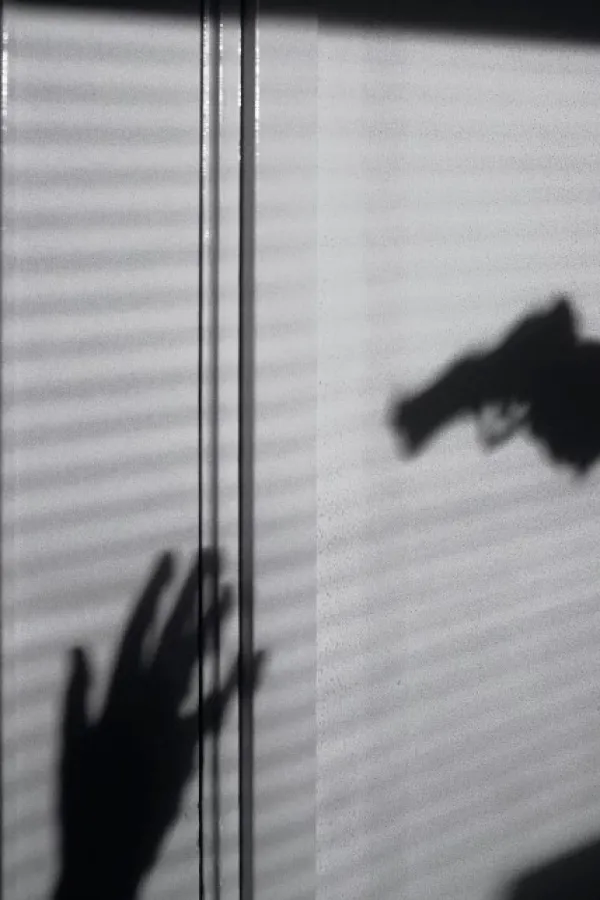 FOTO: Unsplash, ilustracija, pi&scaron;tolj, ubistvo