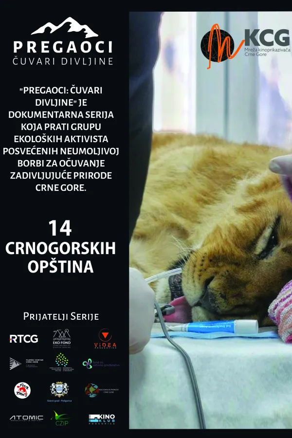 Plakat za događaj
