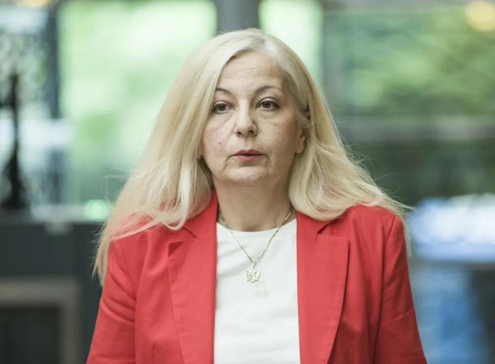 Despotović: Novi Zakon o &scaron;umama doveo&nbsp;do kolapsa, neodrživo stanje u oblasti &scaron;umarstva