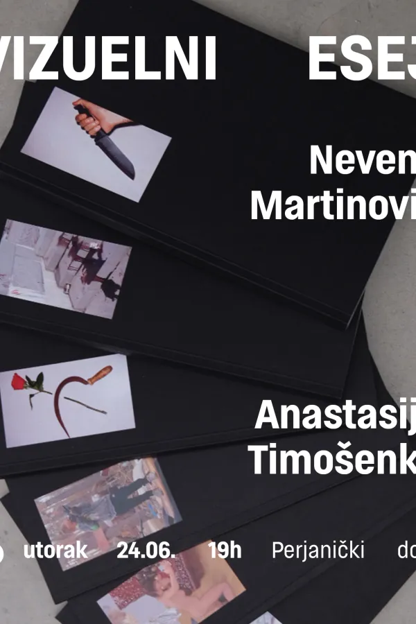 Vizuelni esej u Perjaničkom domu