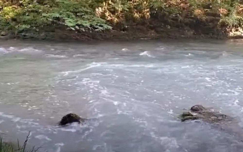 Zamućenje Ćehotine, donji tok Badanj