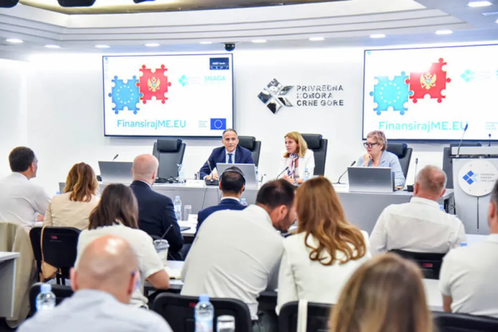 Drakić: Zapadnobalkanski investicioni okvir izuzetno značajan za domaće trži&scaron;te